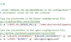 Featured image of post Dockerizing Blazor Wasm Application